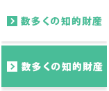数多くの知的財産