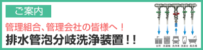 排水管泡分岐洗浄装置