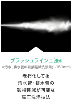 ブラッシュライン工法®